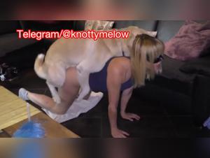 Zoodog: Dog fucks Crazy Mellow