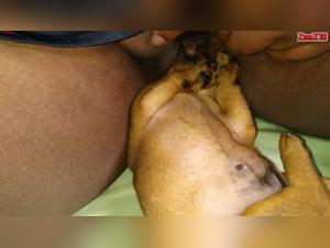 Forbidden Passion: Puppy Licking Intimately