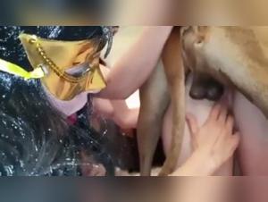 Tierisches Orgien: Huren und ihre Hunde