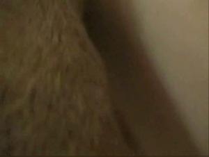 Open Relationship with Dogs