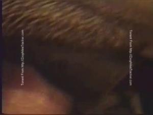 Great Dane porn: an extreme sexual experience