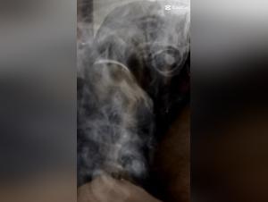 forbidden desire: dog and girl