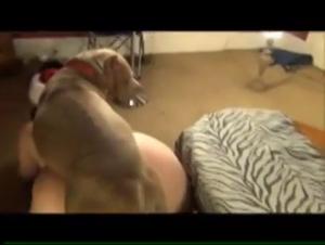 Shelly and her bestiality adventures with dogs