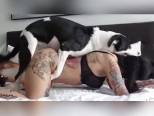 Dog Sex Compilation - Wobble (Dog Rising Mix)