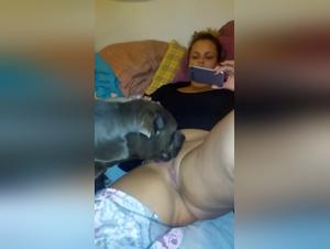 Bestiality with a dog: a shocking story