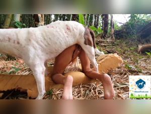 Woman and dog: a beastly encounter