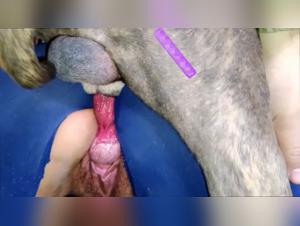 girlfriend devoured by dog, lust unleashed