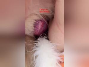 asiatisches paar und hund, tiersex extremer