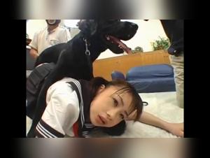 Schoolgirls sex videos with dogs
