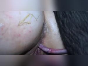 LuxureTV: Unveiling the Secrets of Zoophilia