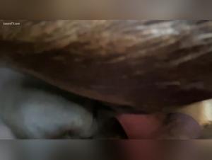 A unique beast experience: Woman and her dog