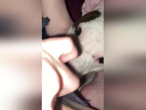 Forbidden Animal Pleasures