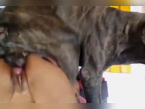 Une bonne salope se fait défoncer par son chien