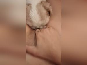 Woman and dog in shocking bestiality scene