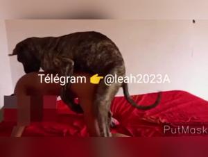 Woman and Dog: A Forbidden Meeting