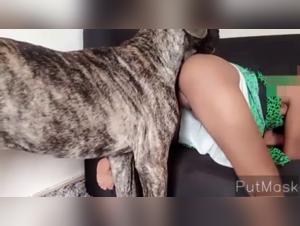 Bestiality sex video with dog