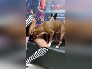 ZoofiliaXXX: Hot blonde woman sucks dog, extreme pornographic animal scene