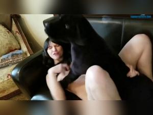 Emmas The Dog Sitter: A Tale of Exciting Bestiality