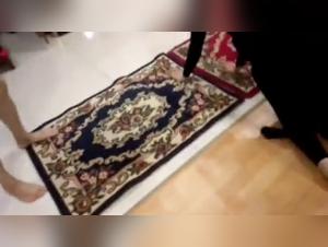 High-quality resources for zoophilia enthusiasts