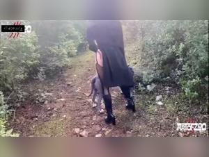 Bestiality: a woman and her dog in a shocking video
