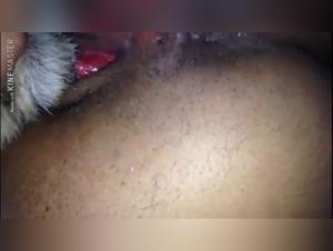 Chien défonce la meuf