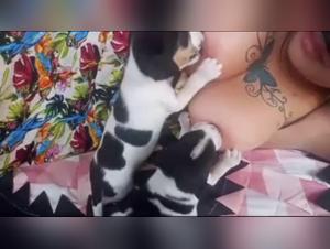 ethical dilemmas: dog porn regulations