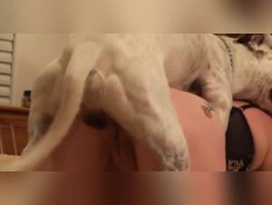 Unfaithful wife and her canine lover: a beastly experience