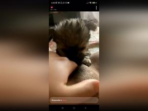 Brazilian Girl Dog Zoophilia Sex Videos