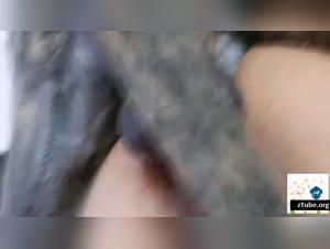 Bestiality: Sharing a bed with a dog