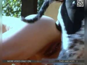 Bestiality: A woman and her dog in a shocking video
