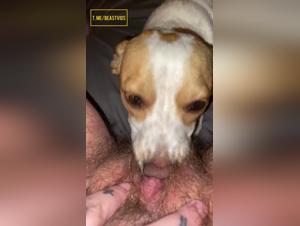 Doggy Style Licking, Uncensored XXX Action