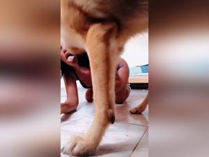 la beauté indienne baisée par son chien