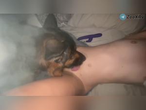 Fille baise chien passionnément