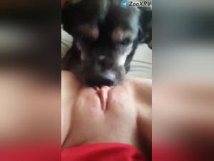 Hundekuss wild - Frau