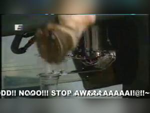 Wild Ride with an Equine : a Unique Experience