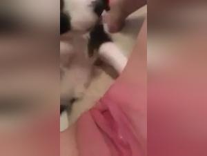 Woman and dog: a shocking bestiality video