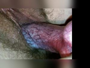 forbidden frontiers explored