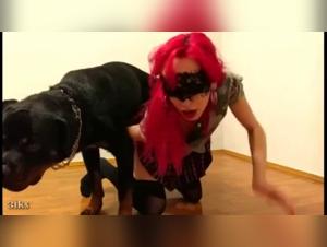 Bestiality sex video: woman and her dog