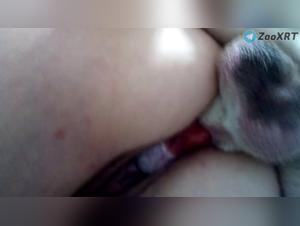 Slut Dog Fuck - Extreme XXX