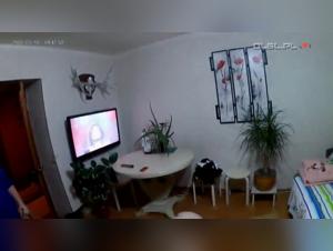 Russian Team's Shocking Bestiality Video