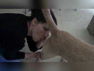 Jesse - Dog Fuck 01 - Extreme XXX Video