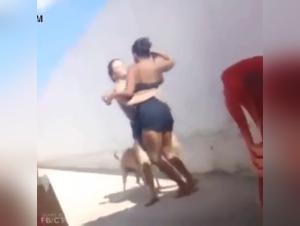 free beastiality videos