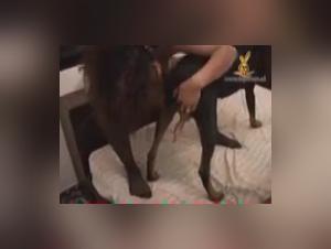 Extreme Animal Porn - Topscore Farma Sutra