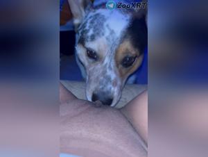 dogg gf, extreme animal sex