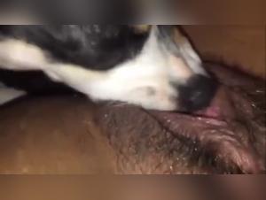 Hure fickt Hund - Art of Zoo Samy NSFW