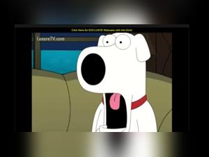 Woman and dog: a forbidden relationship