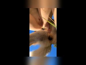 Bestiality Sex: Amateur Videos with Dogs