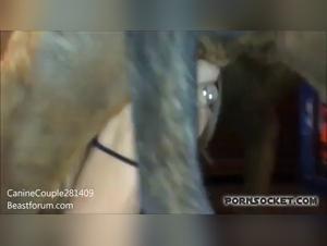 Bestiality: A woman and her dog in a shocking video