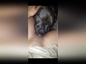 Shocking bestiality: a teenager and her dog