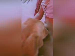 untamed dog, taboo sex